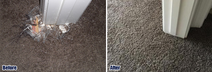 Pet Damaged Carpet Repair Woodland Hills CA