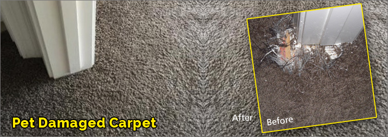 Pet Damaged Carpet Woodland Hills