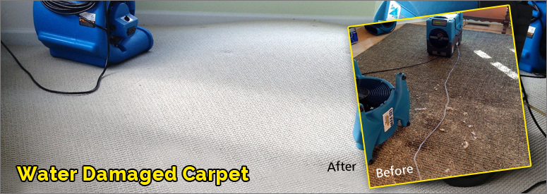 Water Damage Carpet Woodland Hills